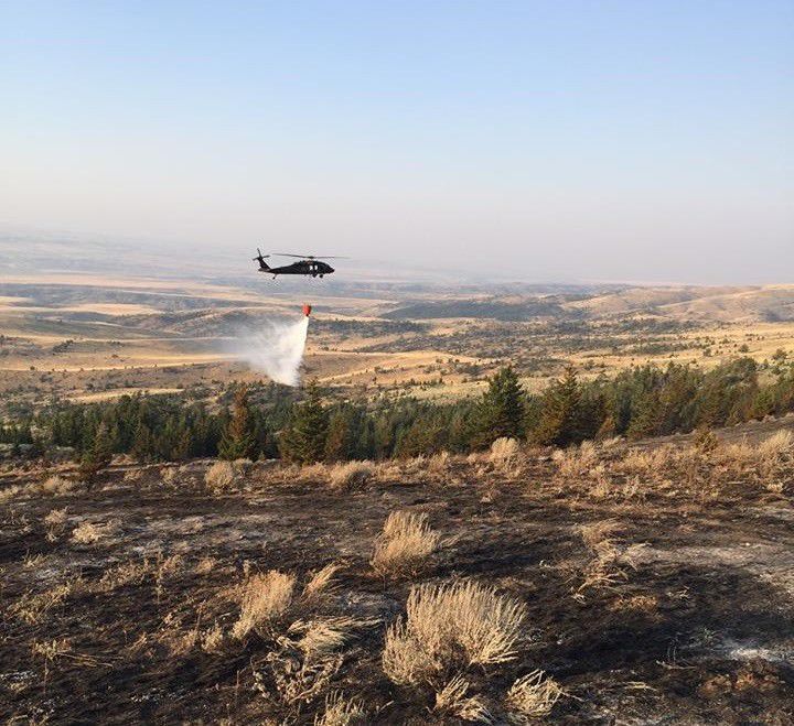 Mendenhall Fire